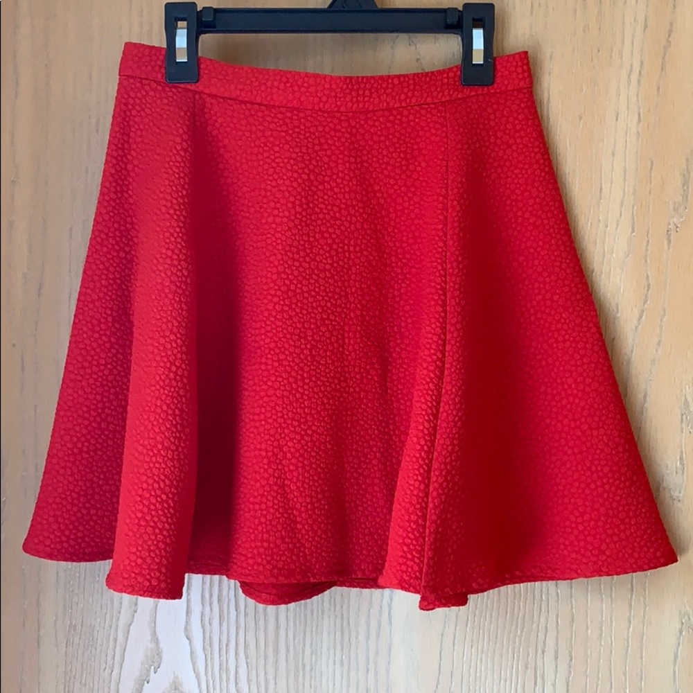 Red Mini Skirt